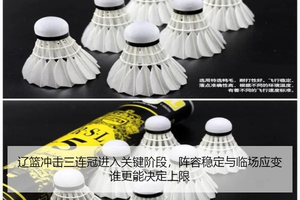 辽篮冲击三连冠进入关键阶段，阵容稳定与临场应变谁更能决定上限